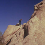 altfactor_lazarus_fall1